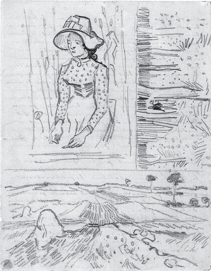 Иллюстрация к книге — Мечтавший о солнце. Письма 1883–1890 годов [i_067.jpg]