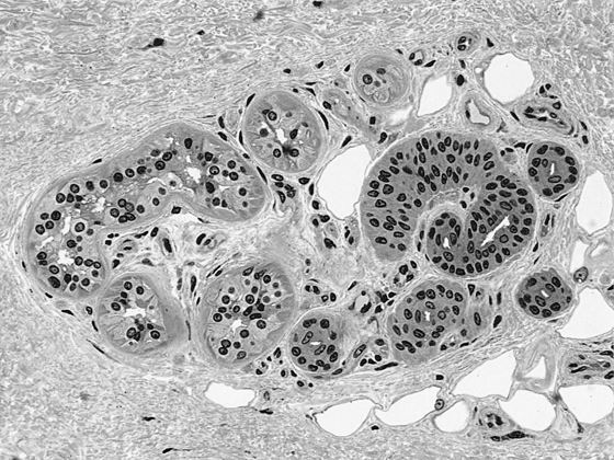 Иллюстрация к книге — Цифры не лгут. 71 факт, важный для понимания всего на свете [i_007.jpg]