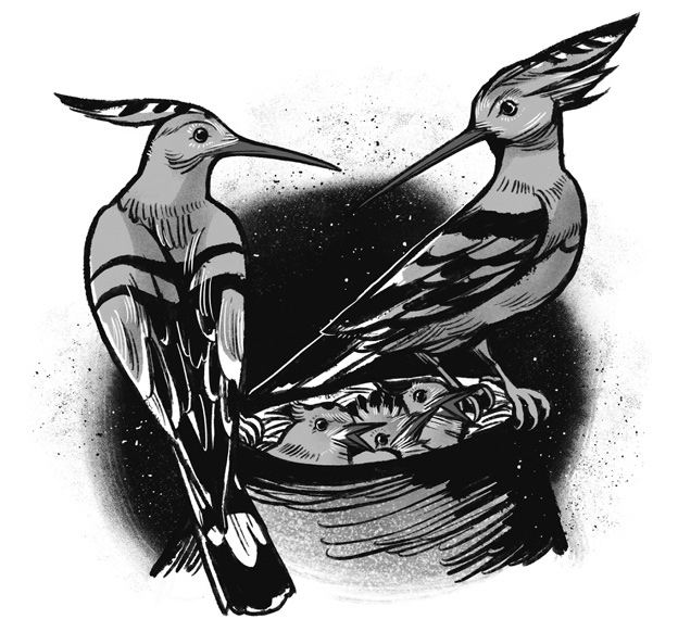 Иллюстрация к книге — Императрица Соли и Жребия [i_005.jpg]