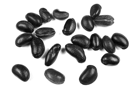 Иллюстрация к книге — Змей и Радуга. Удивительное путешествие гарвардского ученого в тайные общества гаитянского вуду, зомби и магии [i_005.jpg]