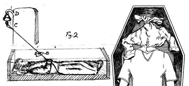 Иллюстрация к книге — Змей и Радуга. Удивительное путешествие гарвардского ученого в тайные общества гаитянского вуду, зомби и магии [i_014.jpg]