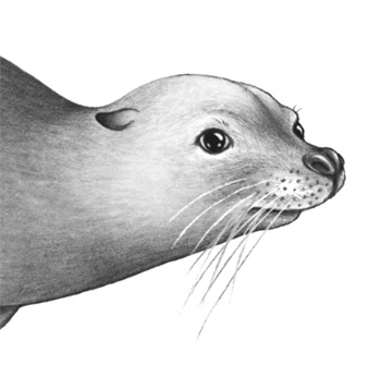 Иллюстрация к книге — Водный заговор [i_014.jpg]