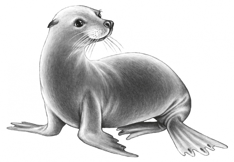 Иллюстрация к книге — Водный заговор [i_018.jpg]