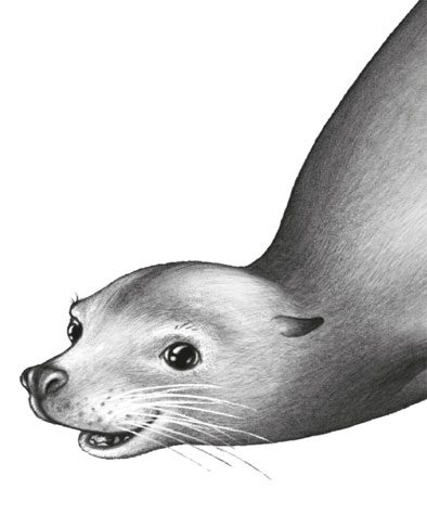 Иллюстрация к книге — Водный заговор [i_021.jpg]