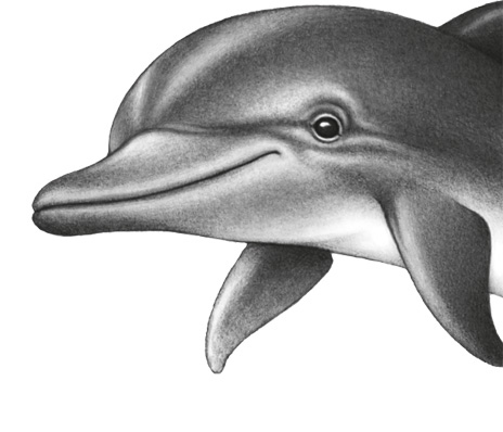 Иллюстрация к книге — Водный заговор [i_023.jpg]