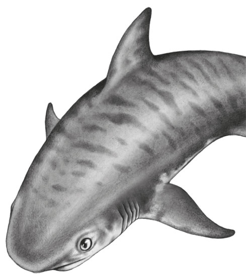 Иллюстрация к книге — Водный заговор [i_026.jpg]