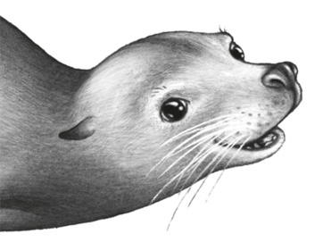 Иллюстрация к книге — Водный заговор [i_033.jpg]