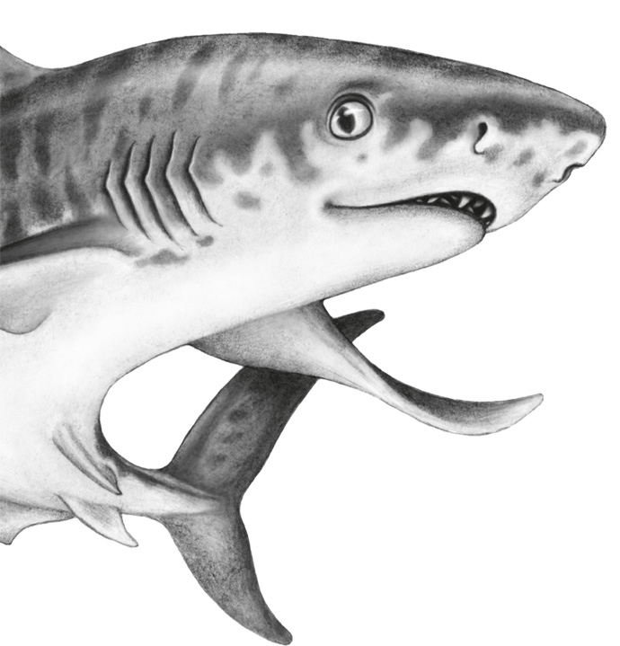 Иллюстрация к книге — Водный заговор [i_036.jpg]