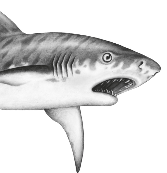 Иллюстрация к книге — Водный заговор [i_044.jpg]