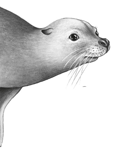 Иллюстрация к книге — Водный заговор [i_046.jpg]