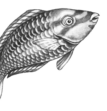 Иллюстрация к книге — Водный заговор [i_064.jpg]