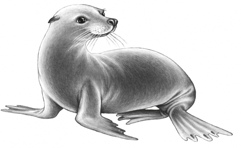 Иллюстрация к книге — Водный заговор [i_067.jpg]