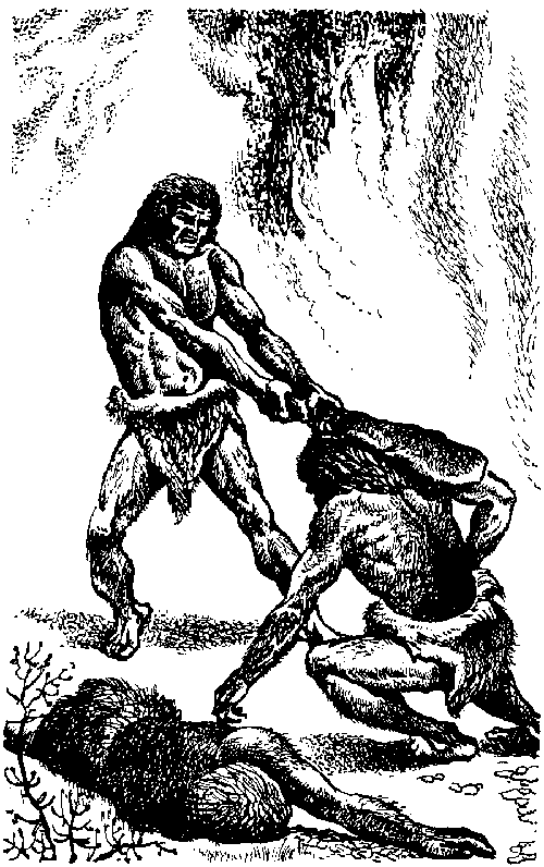 Иллюстрация к книге — Борьба за огонь [_17.jpg]