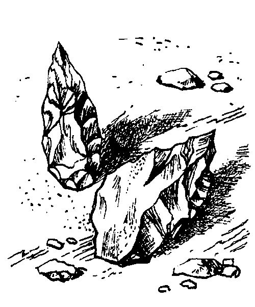 Иллюстрация к книге — Борьба за огонь [_28.jpg]