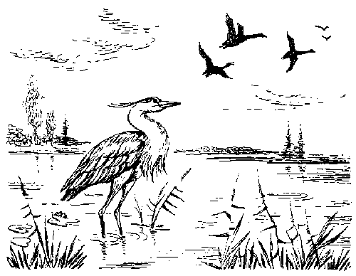 Иллюстрация к книге — Борьба за огонь [_3.jpg]