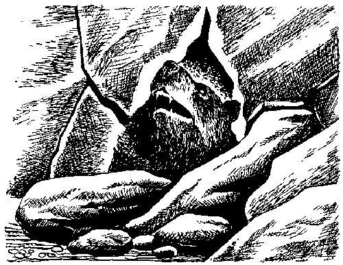 Иллюстрация к книге — Борьба за огонь [_30.jpg]