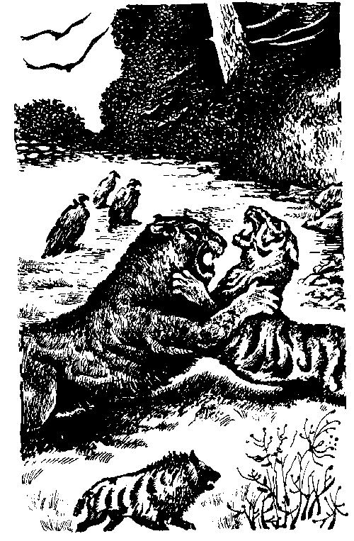 Иллюстрация к книге — Борьба за огонь [_9.jpg]