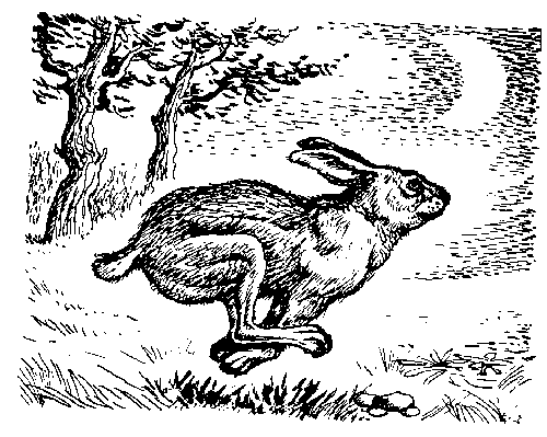 Иллюстрация к книге — Вамирэх [_67.jpg]