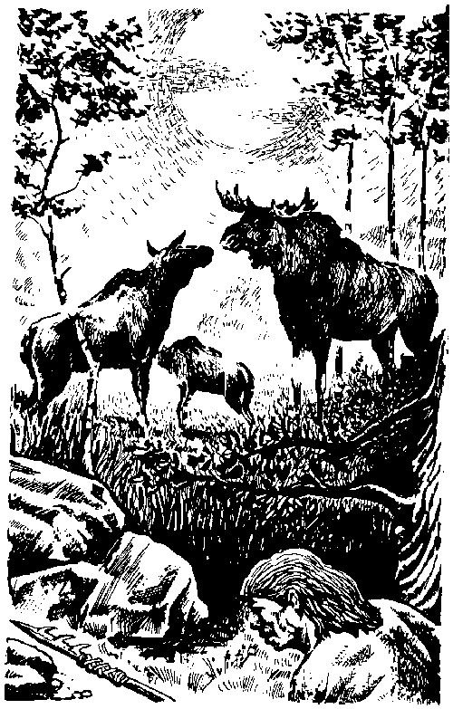 Иллюстрация к книге — Вамирэх [_71.jpg]