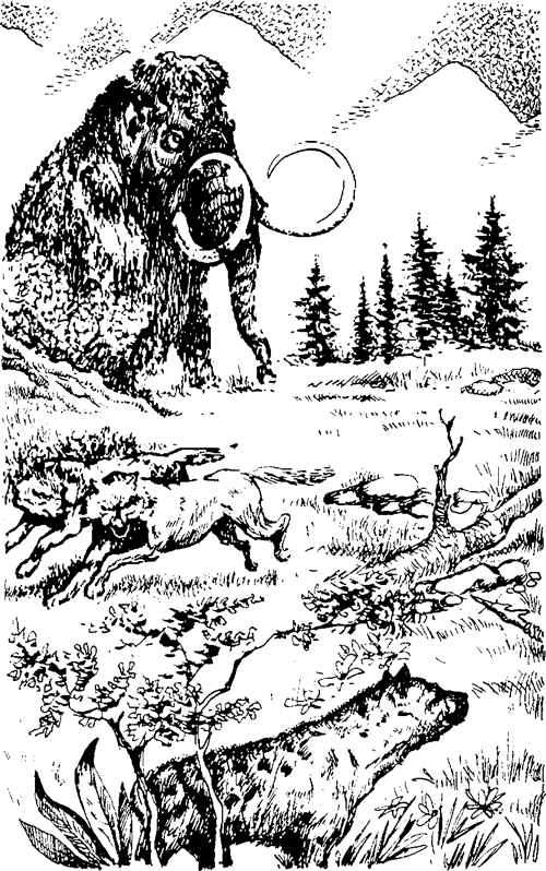 Иллюстрация к книге — Вамирэх [_741.jpg]