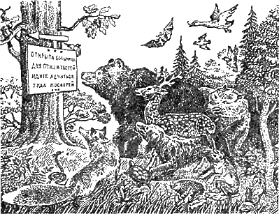 Иллюстрация к книге — Доктор Айболит [g04.jpg]