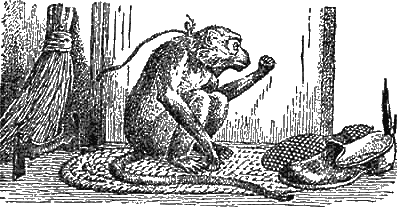 Иллюстрация к книге — Доктор Айболит [g05.jpg]