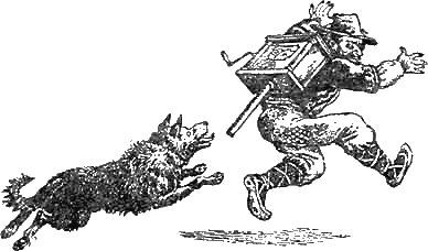 Иллюстрация к книге — Доктор Айболит [g07.jpg]