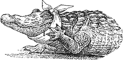 Иллюстрация к книге — Доктор Айболит [g09.jpg]