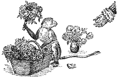 Иллюстрация к книге — Доктор Айболит [g10.jpg]