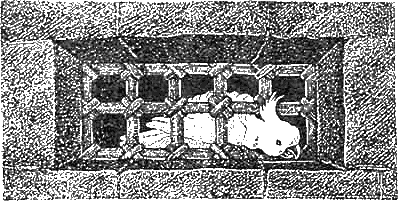 Иллюстрация к книге — Доктор Айболит [g18.jpg]