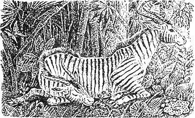 Иллюстрация к книге — Доктор Айболит [g25.jpg]