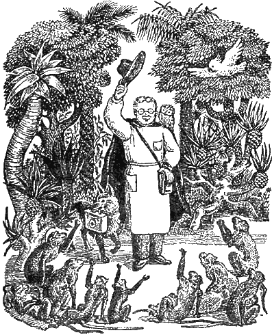 Иллюстрация к книге — Доктор Айболит [g26.jpg]