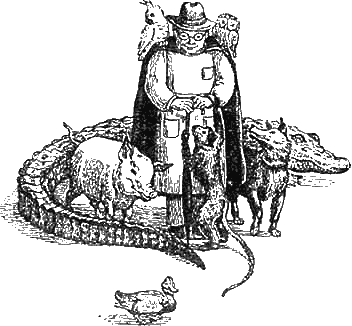 Иллюстрация к книге — Доктор Айболит [g35.jpg]