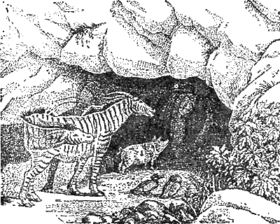 Иллюстрация к книге — Доктор Айболит [g36.jpg]