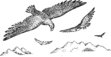 Иллюстрация к книге — Доктор Айболит [g38.jpg]