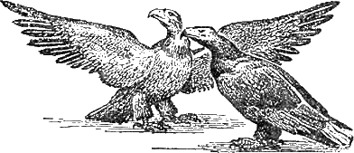 Иллюстрация к книге — Доктор Айболит [g39.jpg]