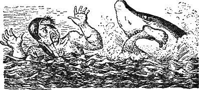 Иллюстрация к книге — Доктор Айболит [g53.jpg]