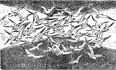 Иллюстрация к книге — Доктор Айболит [g69.jpg]