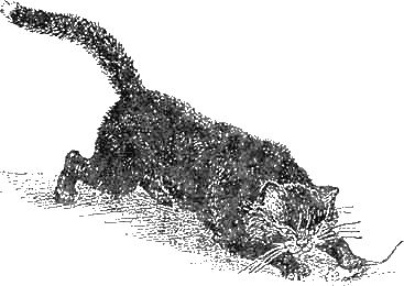 Иллюстрация к книге — Доктор Айболит [g79.jpg]