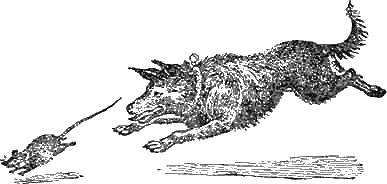 Иллюстрация к книге — Доктор Айболит [g86.jpg]