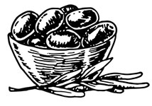 Иллюстрация к книге — Волшебное лето во Франции. Замки, фиалки и вишневый пирог [i_009.jpg]