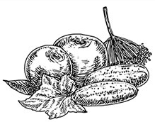 Иллюстрация к книге — Волшебное лето во Франции. Замки, фиалки и вишневый пирог [i_010.jpg]