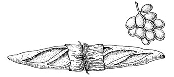 Иллюстрация к книге — Волшебное лето во Франции. Замки, фиалки и вишневый пирог [i_013.jpg]