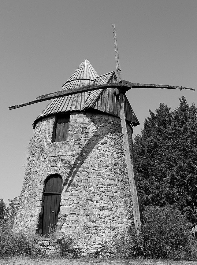 Иллюстрация к книге — Волшебное лето во Франции. Замки, фиалки и вишневый пирог [i_024.jpg]