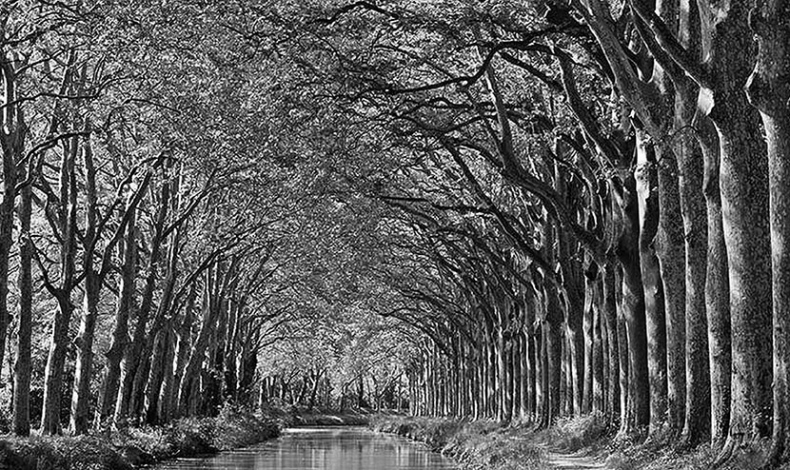 Иллюстрация к книге — Волшебное лето во Франции. Замки, фиалки и вишневый пирог [i_047.jpg]