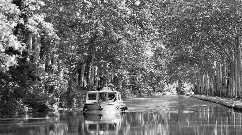 Иллюстрация к книге — Волшебное лето во Франции. Замки, фиалки и вишневый пирог [i_048.jpg]