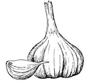 Иллюстрация к книге — Волшебное лето во Франции. Замки, фиалки и вишневый пирог [i_064.jpg]