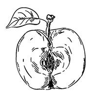 Иллюстрация к книге — Волшебное лето во Франции. Замки, фиалки и вишневый пирог [i_068.jpg]