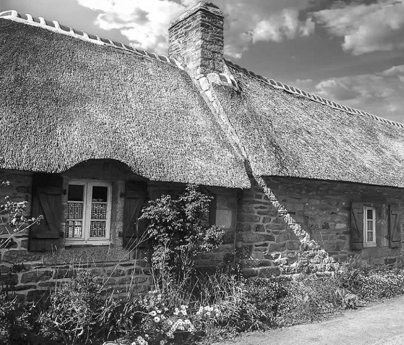 Иллюстрация к книге — Волшебное лето во Франции. Замки, фиалки и вишневый пирог [i_112.jpg]