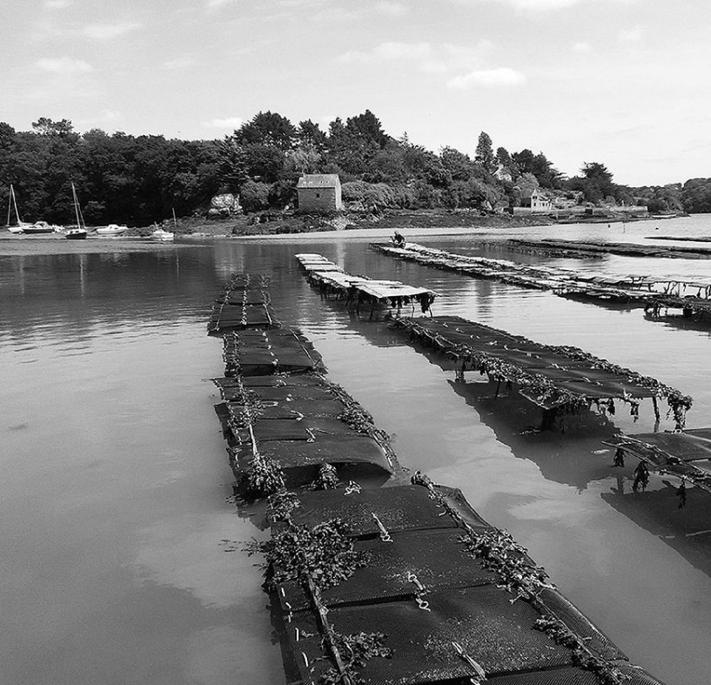 Иллюстрация к книге — Волшебное лето во Франции. Замки, фиалки и вишневый пирог [i_116.jpg]